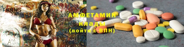 прущие грибы Осташков