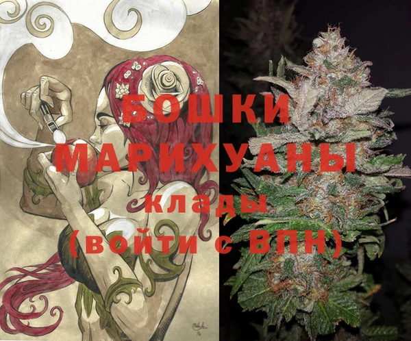 прущие грибы Осташков