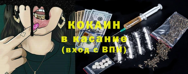 прущие грибы Осташков