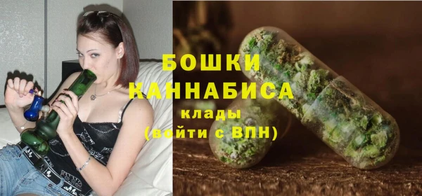 прущие грибы Осташков