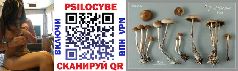 Псилоцибиновые грибы MAGIC MUSHROOMS цены наркотик Конаково