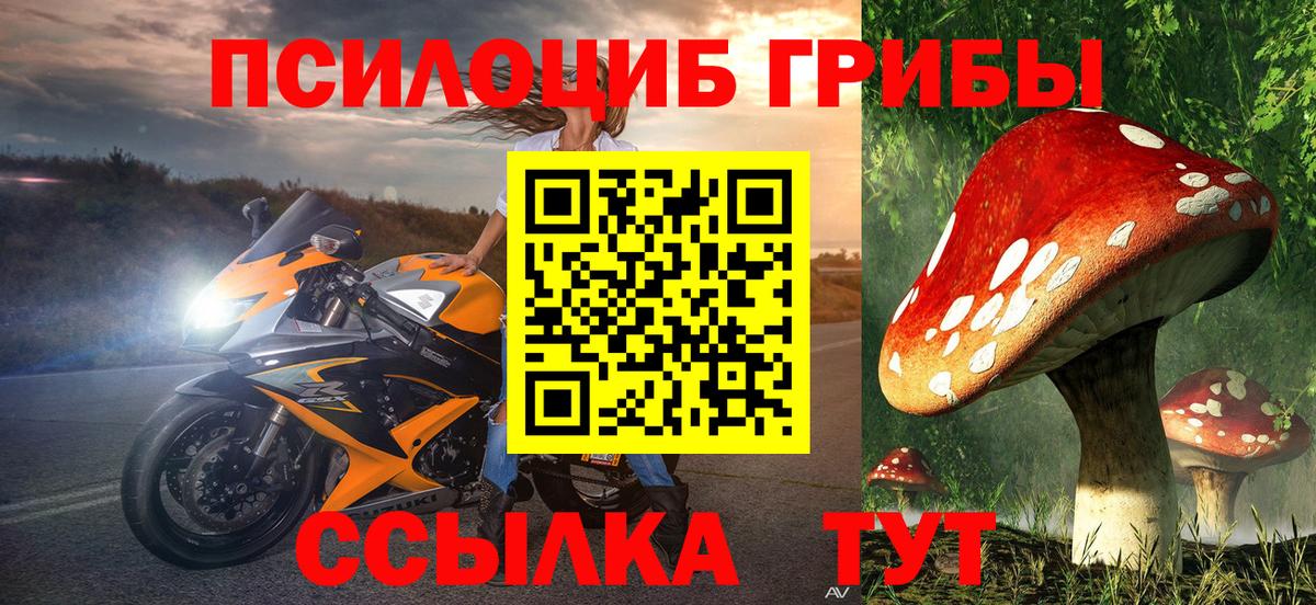 Галлюциногенные грибы Psilocybe Конаково