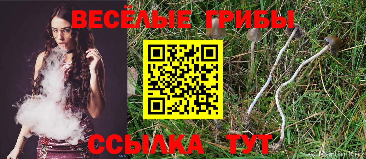 купить  цена  Вход с VPN  Галлюциногенные грибы MAGIC MUSHROOMS  Конаково  Галлюциногенные грибы прущие грибы 